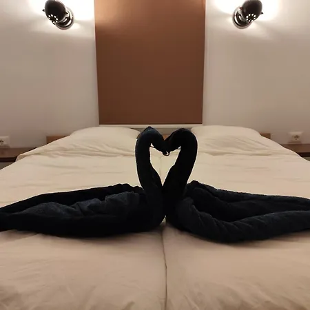 Livealbania Guest house